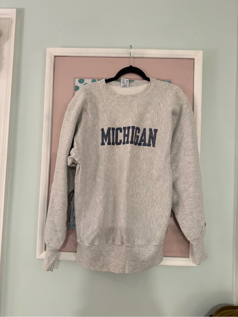 Champion Gray 'Michigan' Crewneck Sweatshirt